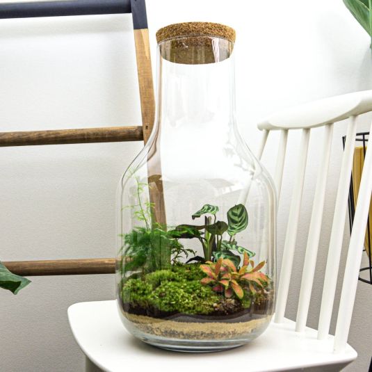Terrarium Diy Kit Long Tom Xl