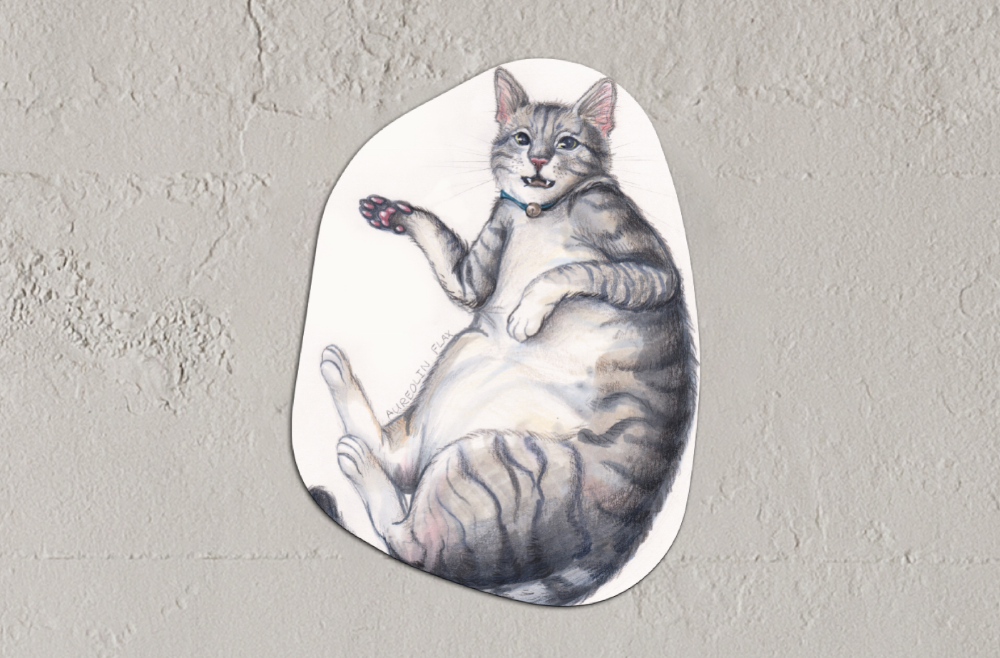 Voorbeeld van een Organische vorm met een kunstwerk van een kat.