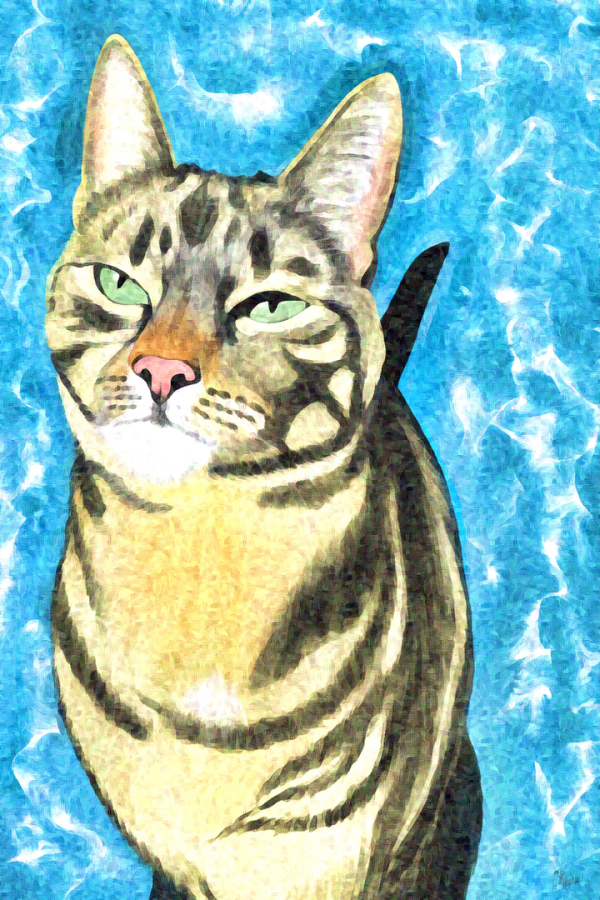 Portret Kat laten maken.