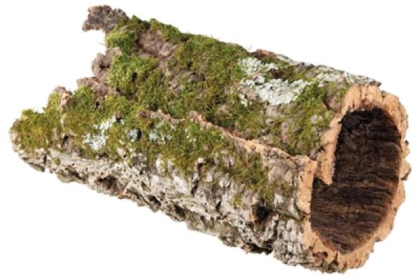 Terrarium accessoires collectie