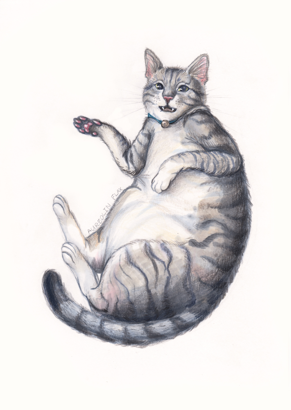 Kunstwerk van een Kat getekend in opdracht.Kunstenaar Aureolin Flax.