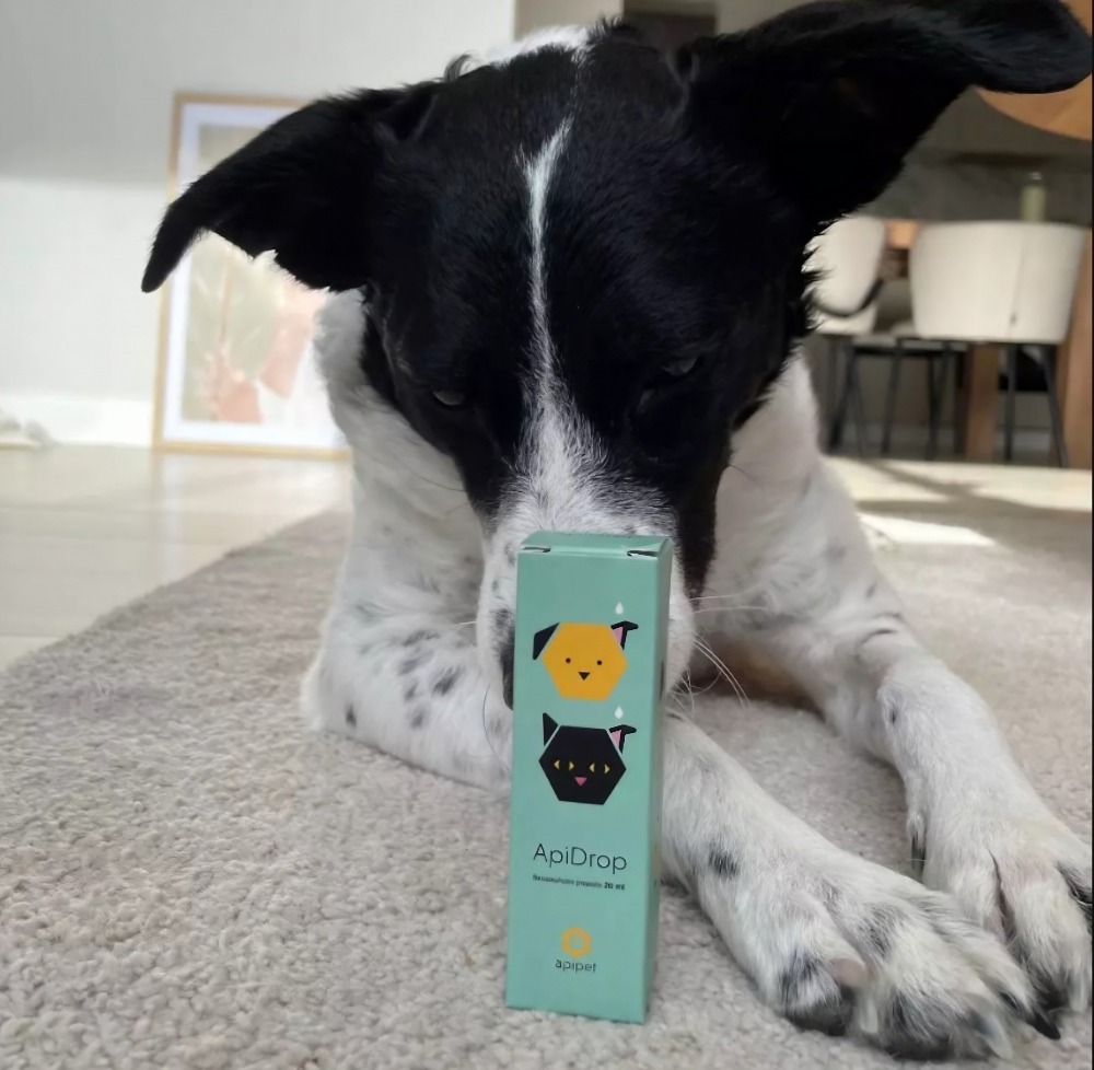 Propolis voor honden en katten