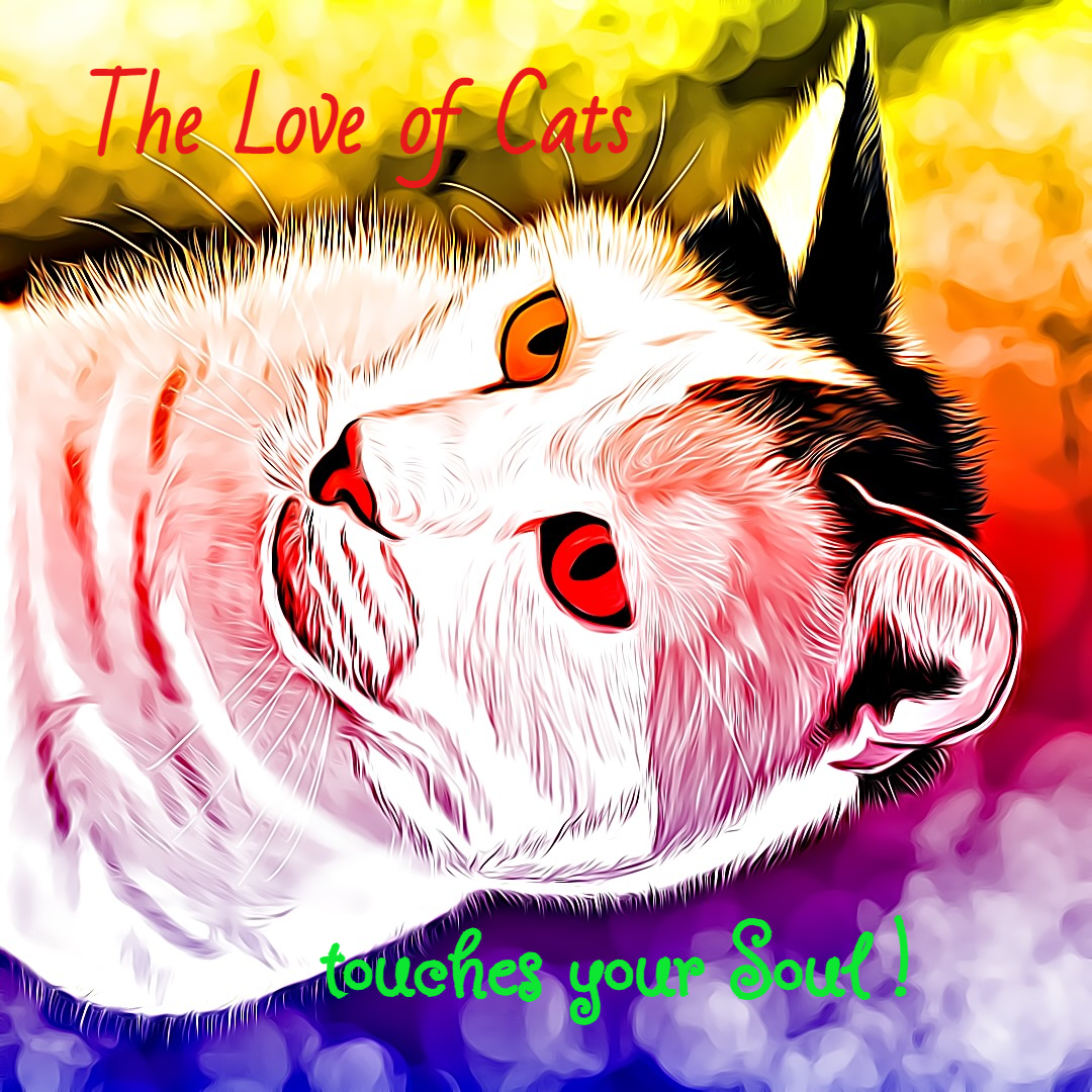 Kunstwerk van een Kat.The Love of Cats touches your Soul.