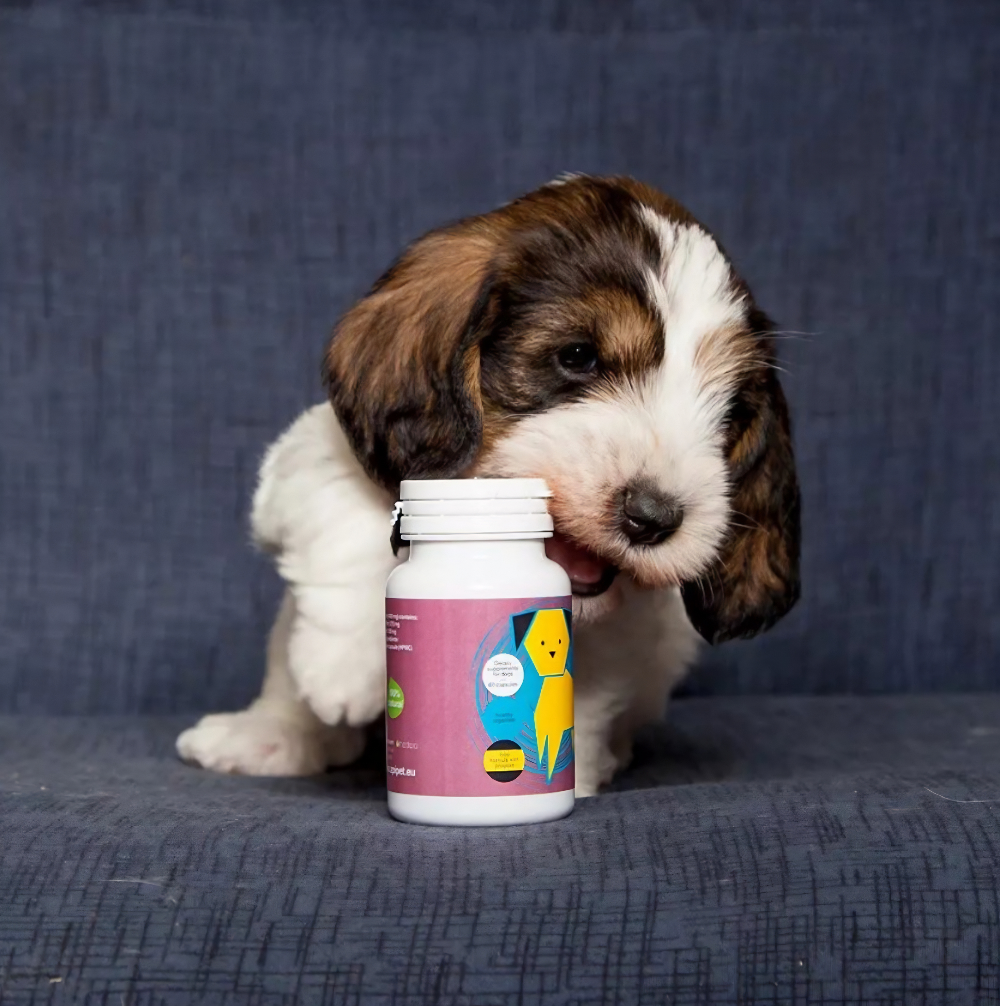 Propolis voor Huisdieren te koop bij drawapet.nl.