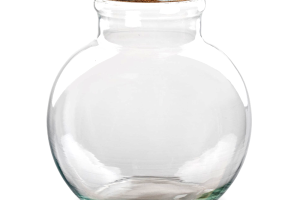 Terrariums collectie