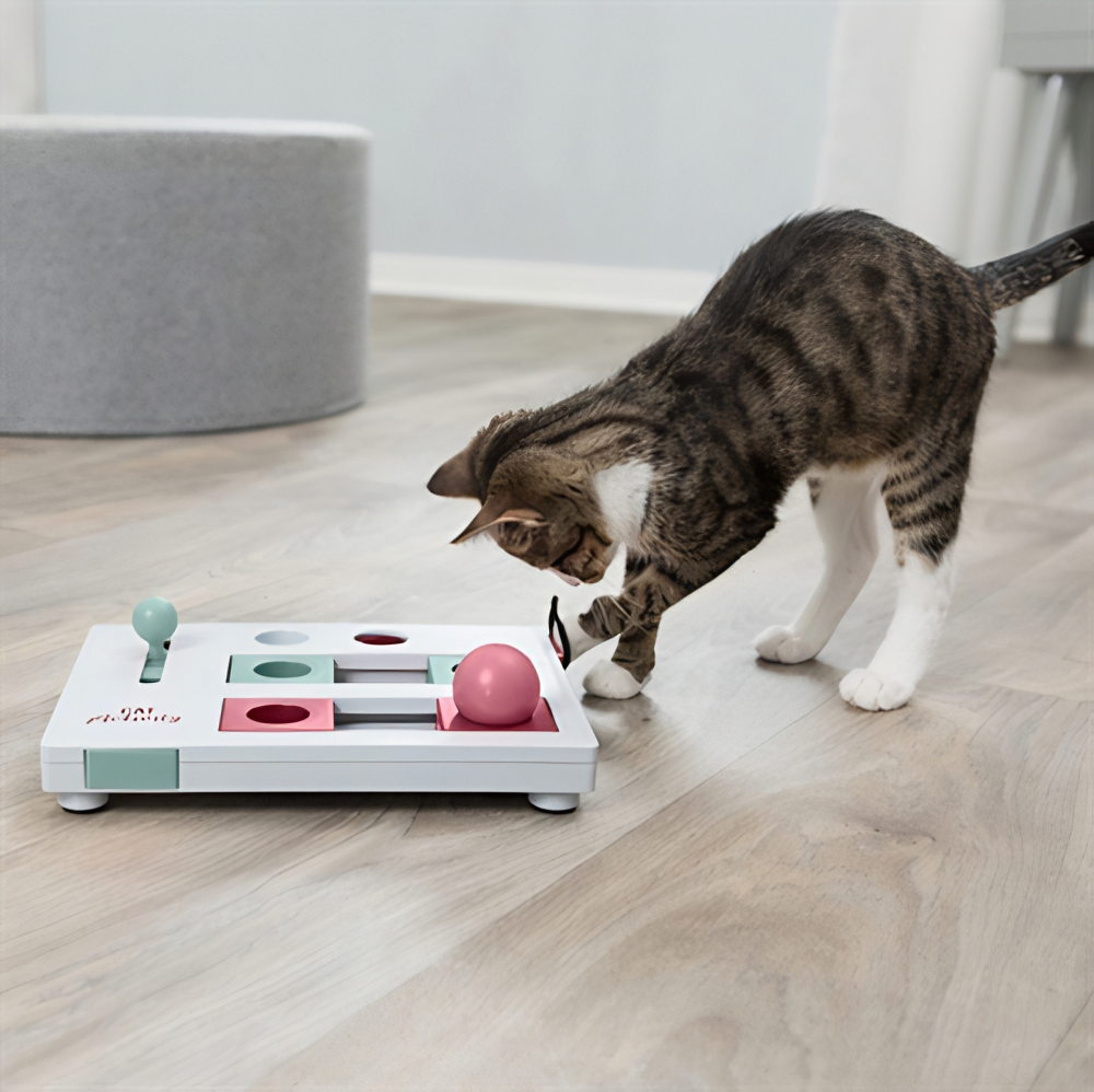 Katten Artikelen 
