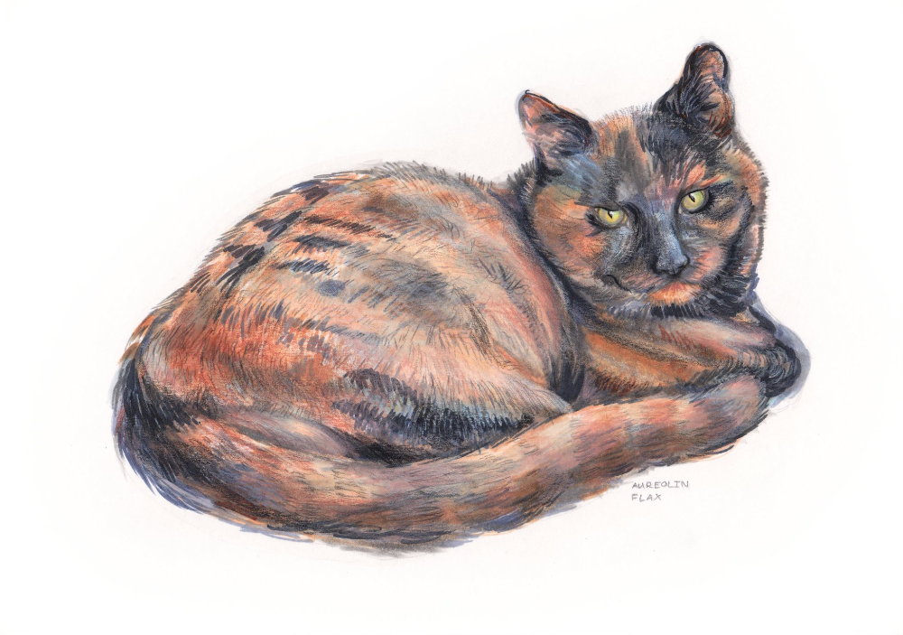 Kunstwerk van een Kat.Kunstenaar:Aureolin Flax