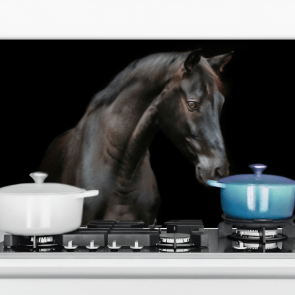 Spatscherm Keuken Paard op zwarte achtergrond.