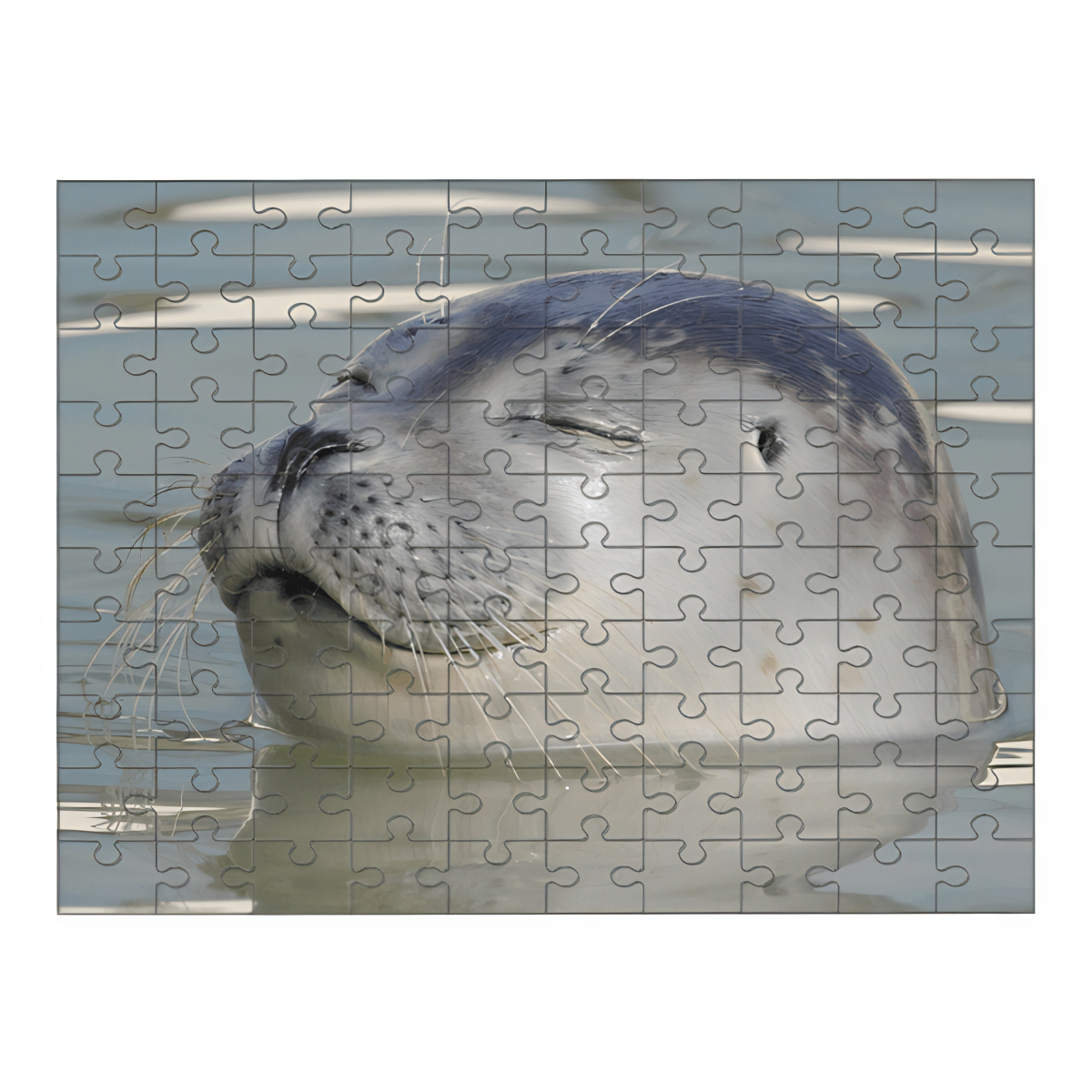 Puzzel Zeehond voorbeeld.