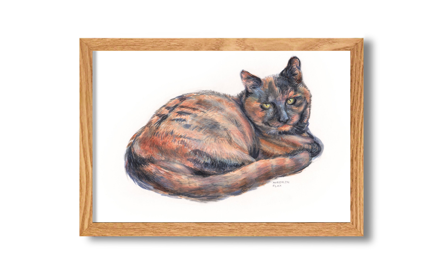 Voorbeeld van een tekening van een kat in eiken kleurige lijst.
