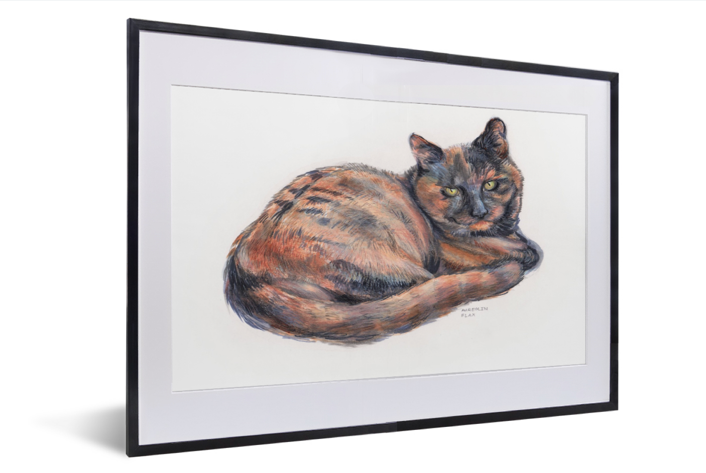 Voorbeeld Tekening van een Kat.Afgedrukt op posterpapier.In zwarte lijst met witte passe-partijtje.