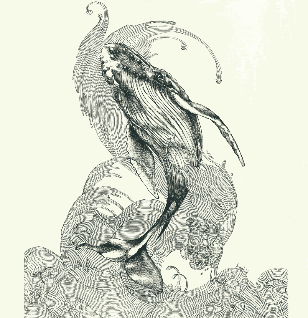 Kunstwerk  Walvis tekening van Kunstenaar Alejandro Armenta
