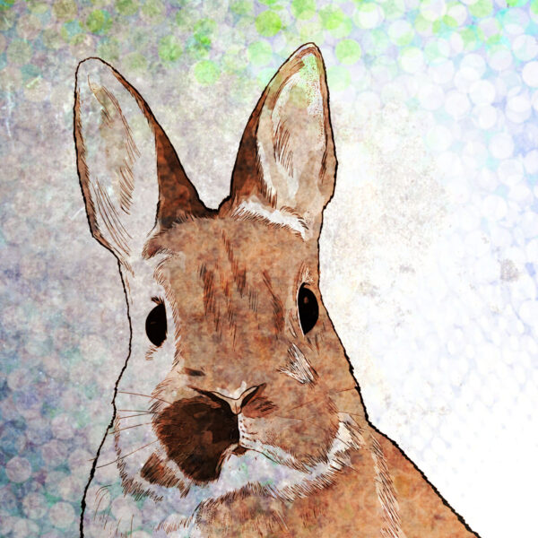 Kunstwerk op maat laten tekenen van uw huisdier op canvas of poster
