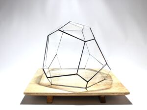 Geometrisch Terrarium Torno Vivarium.