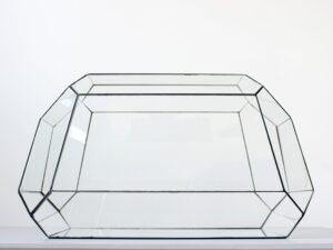 Geometrisch terrarium Nexus Vivarium.