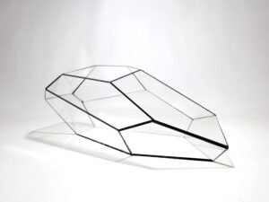 Geometrisch Terrarium Plantasia Vivarium.