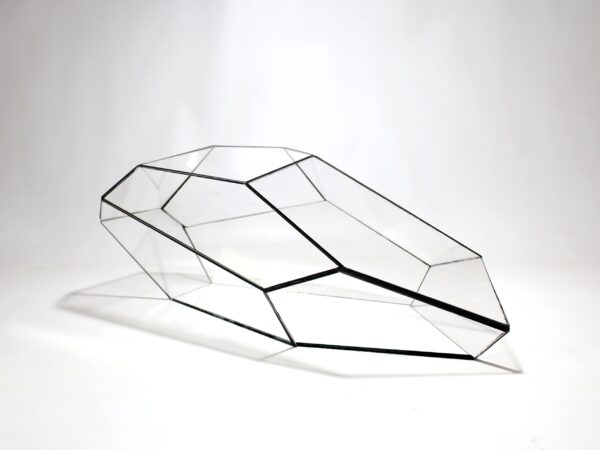 Geometrisch Terrarium Plantasia Vivarium.