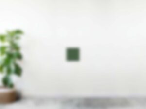 Veera Mos Muur Tegel