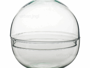Dome - Globe Glass - Bell Jar - Closed Terrarium ↑20 Cm