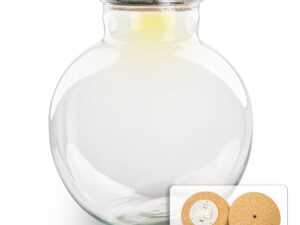 Terrariumfles met Licht in Kurk – Bolder Bob – Gesloten Terrarium
