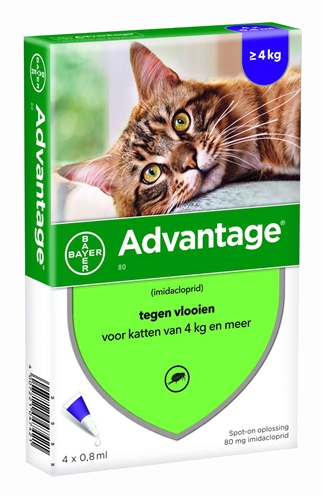 Bayer Advantage Kat - Afbeelding 2