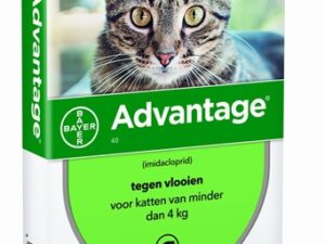 Bayer Advantage Kat