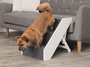 Honden accessoires