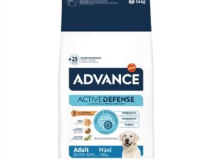 Advance Maxi Adult Hond