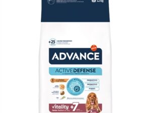 Advance Medium Senior Hond