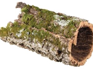 Terrarium accessoires