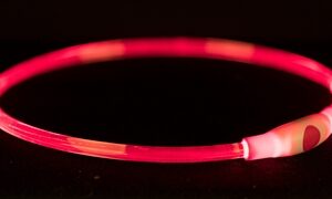Trixie Lichtgevende Halsband Usb Flash Light Oplaadbaar Tpu Rood