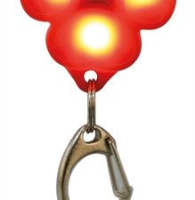 Trixie Flasher Pootje Usb Assorti