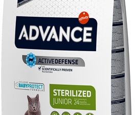 Advance Cat Junior Sterilized