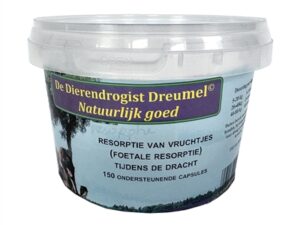 Dierendrogist Resorptie Van Vruchtjes Foetale Resorptie