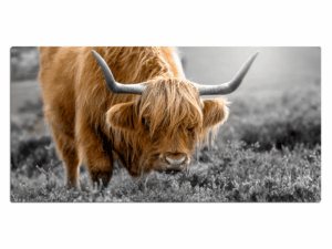 Bureau onderlegger Schotse Hooglander Bruin