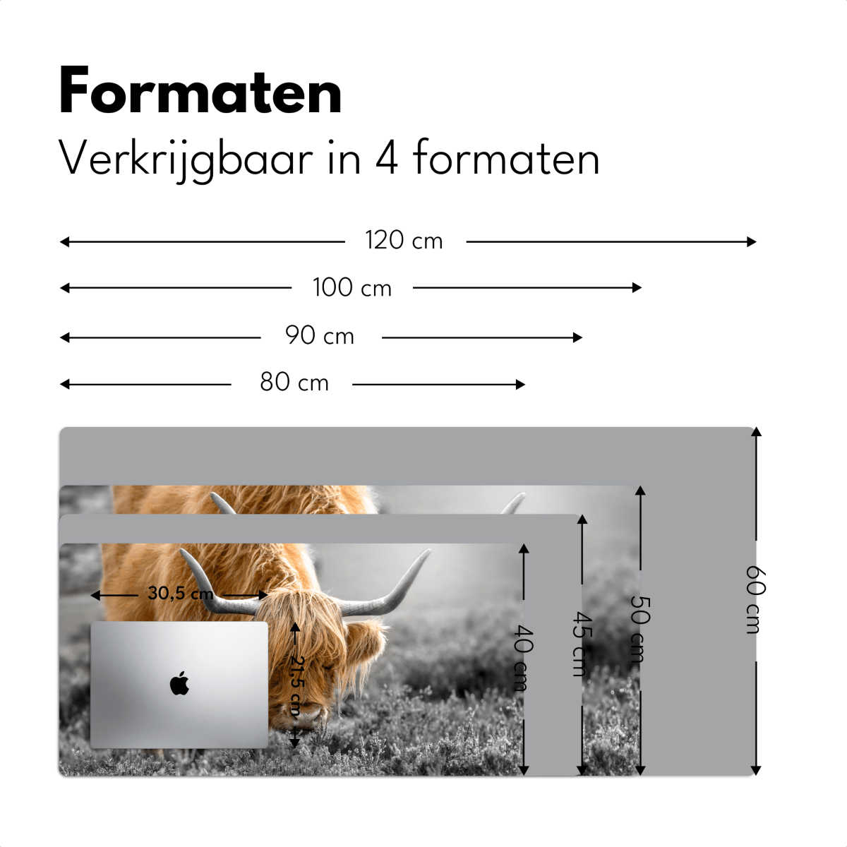 Bureau onderlegger Schotse Hooglander Bruin