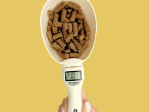 Digitale Doseerder voor Apifood.