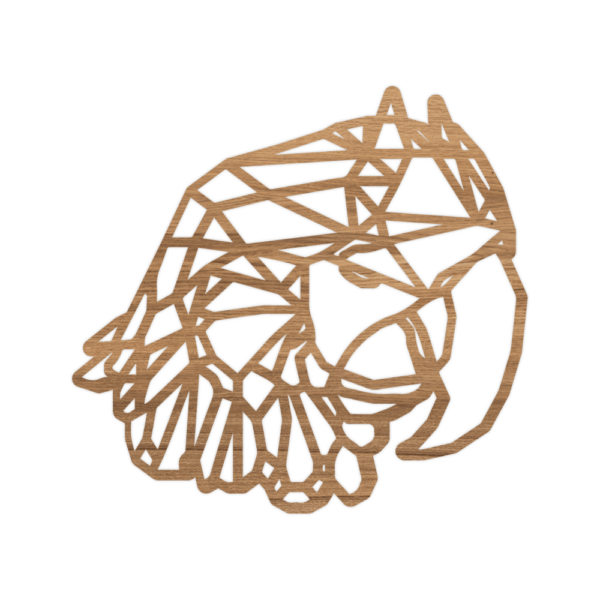 Geometrische Papegaai - Afbeelding 9