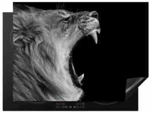 Inductiebeschermer Leeuw Zwart Wit