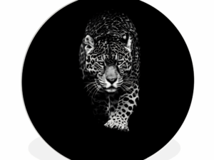 Muurcirkel Panter