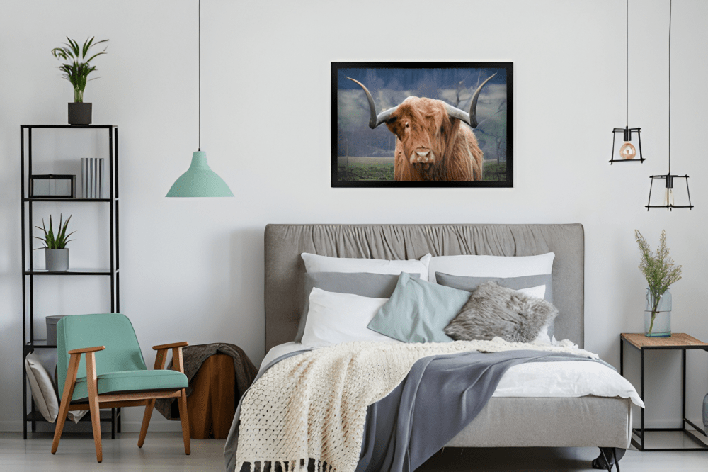 Poster in lijst Schotse Hooglander - Afbeelding 4