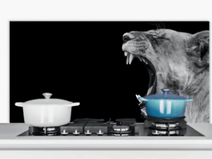 Spatscherm Keuken Leeuwin brul