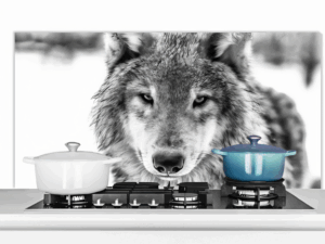 Spatscherm Keuken Wolf