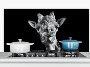 Spatscherm Giraffe Zwart Wit