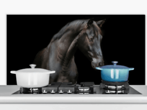 Spatscherm Keuken Paard