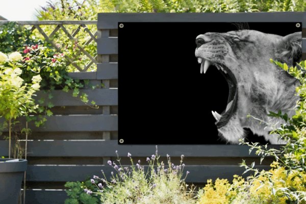 Tuinposter Leeuwin brul - Afbeelding 6