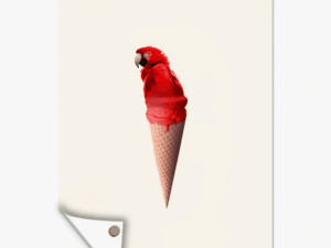 Grappige tuinposter Papegaai IJshoorntje