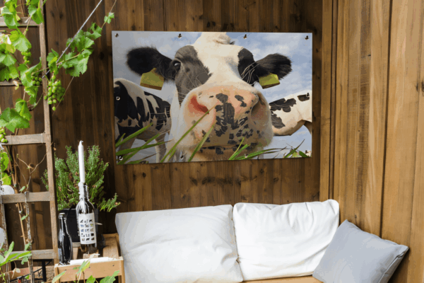 Tuinposter Koe close-up.