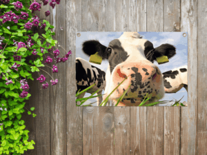 Buitendecoratie