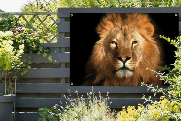 Tuinposter Leeuw op zwarte achtergrond